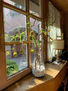 Calliano老鹰村酒店的花瓶,花瓶上放着植物,坐在窗台上