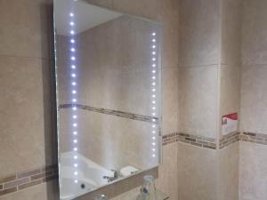 卡迪根Llety Teifi Guest House的一间带镜子和淋浴的浴室