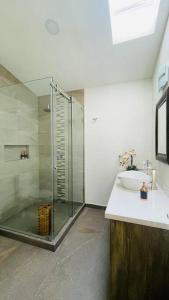 底拉斯卡拉Hermoso Loft en Valquirico, Lofts Frontana.的一间带玻璃淋浴和水槽的浴室