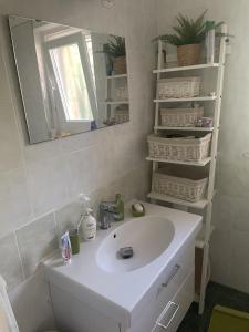 鲍洛通塞迈什Szemes Villa的浴室设有白色水槽和镜子