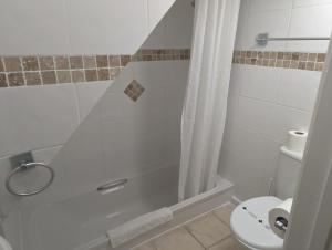 南安普敦Bridge Terrace E的带淋浴和卫生间的浴室