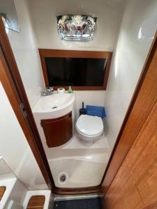 巴尔House boat FreeInDeed的一间带卫生间和水槽的小浴室