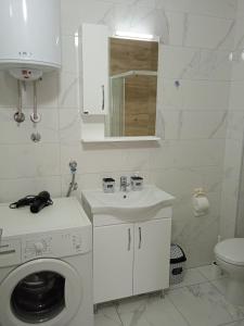 ObrenovacHappy Day的白色的浴室设有洗衣机和水槽。