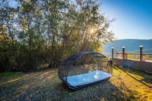 阿赫瓦尼Fairy Tale 13-acre Sunset Villa at Windy Gap Valley near Yosemite的树旁的金属笼子