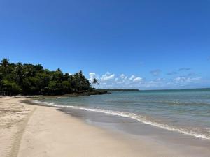 莫雷雷Quarto em frente à praia de Moreré的一片种满树木的沙滩和大海