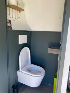 WesterlandAmerican Airstream Terra Incognito的一间设有蓝色墙壁厕所的小浴室