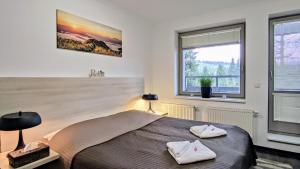 哈拉霍夫Horský rodinný apartmán 2KK s velkou terasou, s wellness, snídaní na pokoj a s vlastním parkováním v garáži - by Relax Harrachov的一间卧室配有一张带两个枕头的床