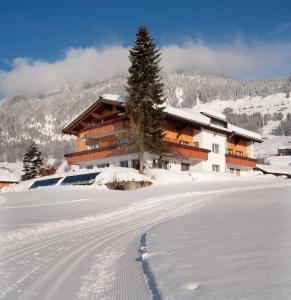 布雷根茨沃尔德地区奥Haus Alpina的雪地滑雪小屋,带小径