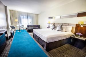 Punto FijoLidotel Paraguaná的酒店客房配有一张铺有蓝色地毯的大床