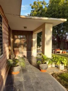 比卡内尔Roda House - a boutique homestay in Bikaner的房屋边种有盆栽植物的门廊