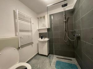 Căpăţîneni-UngureniCasa Lupilor Transfăgărășan的带淋浴、卫生间和盥洗盆的浴室