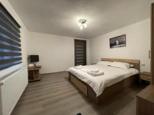 Căpăţîneni-UngureniCasa Lupilor Transfăgărășan的一间卧室配有一张大床和电视