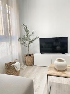 科尔多瓦Smart Stay Córdoba的客厅配有平面电视和植物