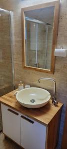 Crni VrhApartmani Prica的浴室设有白色水槽和镜子
