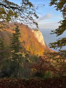 萨斯尼茨Sonnige Souterrain-Ferienwohnung的秋天的山林景