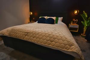 OtruševecRoom4stars的一间卧室配有一张大床和两个蓝色枕头