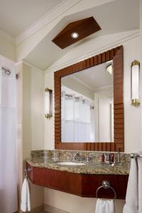 圣地亚哥圣地亚哥万豪酒店 的一间带水槽和大镜子的浴室
