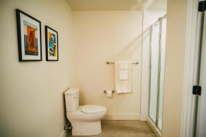 哈利法克斯NEW Stylish 2BR Condo with Views in North End的一间带卫生间和淋浴的浴室
