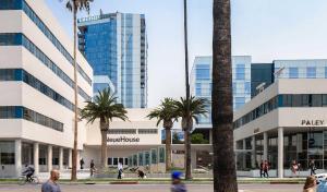 洛杉矶Luxe Rock Bungalow in the Heart of Hollywood的一群棕榈树在一座建筑前