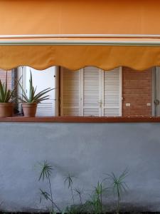 卡斯蒂里昂纳·德拉佩A casa di Ale的一座种植盆栽植物的建筑的窗户