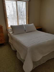 布雷纳德The Point - On Gull Lake的一间卧室配有一张带白色床单的床和一扇窗户。