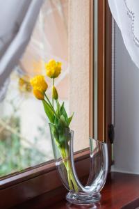 卢克钦Holiday House "Słoneczna" with Garden by Renters的窗台上摆着黄色花瓶