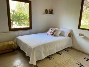 圣佩德罗·德·阿塔卡马Casa Luna的一间卧室设有一张大床和两个窗户