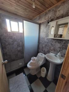 平托Cabañas Aguas Claras的一间带水槽、卫生间和淋浴的浴室