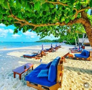 莫雷雷Pousada Boutique Coco Bambu Morere的海滩上设有蓝色躺椅,大海上设有