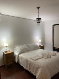 坦迪尔Apart Lo de Jose的卧室配有一张白色床、两个床头柜和两盏灯。