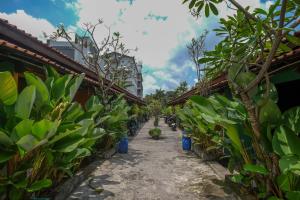 日惹RedDoorz near Lotte Mart Maguwoharjo Yogyakarta的穿过香蕉园的一条小径