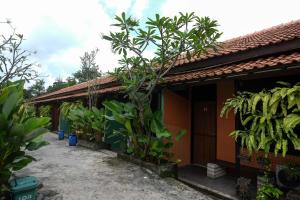日惹RedDoorz near Lotte Mart Maguwoharjo Yogyakarta的前面有一堆植物的房子