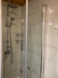 埃京Pension Kleiner的带淋浴的浴室和玻璃门