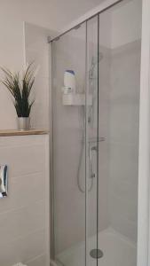 布雷斯特Studio calme et discret的浴室里设有玻璃门淋浴