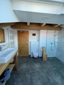 普夫龙滕Chalet Alpenflair的浴室配有卫生间、盥洗盆和淋浴。