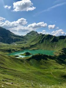 普夫龙滕Chalet Alpenflair的绿色山中的一个湖泊