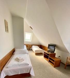 特伦钦提博利亚旅馆的一间设有两张床和电视的房间