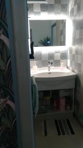 Green Flamingo Hostel的一间浴室