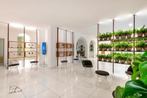 伊斯基亚Hotel Villa Durrueli Resort & Spa的一间展示椅子和植物的房间