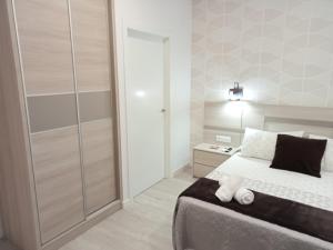 萨里亚Baixo a Lua Rooming的一间卧室配有一张床和一个步入式衣柜