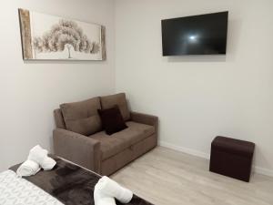 萨里亚Baixo a Lua Rooming的带沙发和电视的客厅