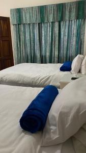 布拉瓦约Twin Room in Hillside - 2087的卧室内的两张床和蓝色枕头