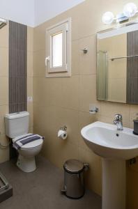 阿莫尔戈斯Villa Andromeda的一间带水槽、卫生间和镜子的浴室