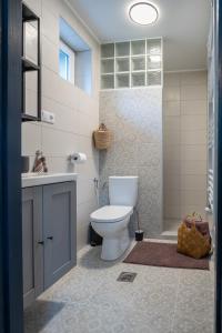 SomogyhárságyStüble Loft的浴室配有卫生间、盥洗盆和淋浴。