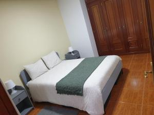 维拉·雷阿尔Cantinho dos Montes的一间卧室配有一张带绿毯的床