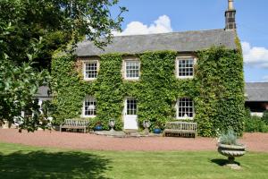 隆霍斯雷Thistleyhaugh farmhouse的一座常春藤覆盖的房子,在院子里设有两长凳
