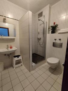 新乌尔姆索耐科勒酒店的带淋浴、卫生间和盥洗盆的浴室