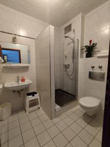 新乌尔姆索耐科勒酒店的带淋浴、卫生间和盥洗盆的浴室