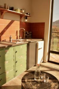 萨兰达Botë Farms Agriturismo的厨房配有绿色橱柜、水槽和桌子