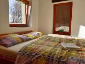 SmržovkaChalupa pod Bukovou horou, Jizerské hory的一间卧室配有一张带毯子的床和两个窗户